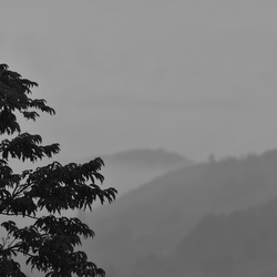 2020-01 Colombia/Sopó/DSC_3050.JPG